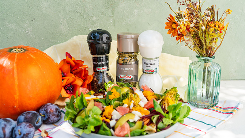 Abbildung: Banner mit herbstlichem Salat aus Blattsalat, Kürbis, Grapefruit, Zwetschgen, Käse und Nüssen. Daneben sind ein Kürbis sowie Kotányi Gewürze und Gewürzmühlen mit Orangenpfeffer, Kardamom und Meersalz zu sehen.